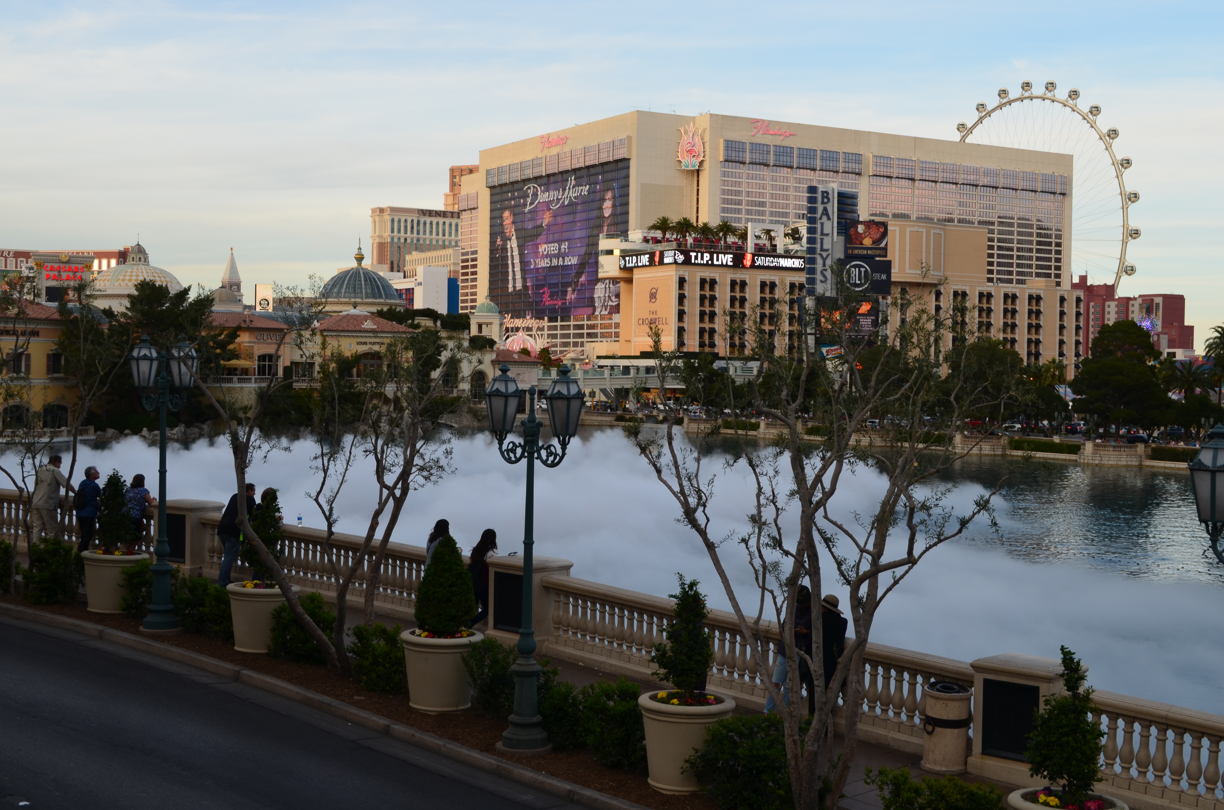 ./2016/04 - Las Vegas/Bellagio Fountains/DSC_0494.JPG